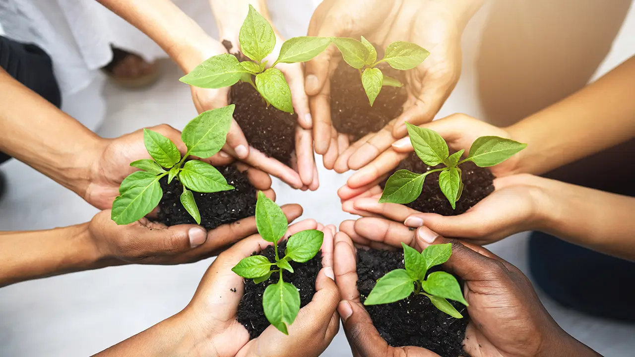 Delivering Excellence in Environmental Impact Assessments